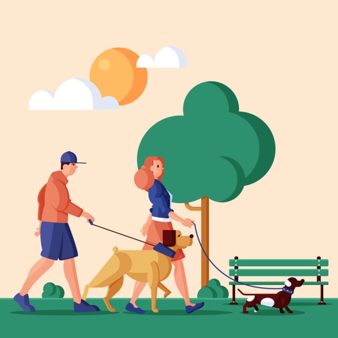 Dog Healthy and Safe at Your City's Dog Park