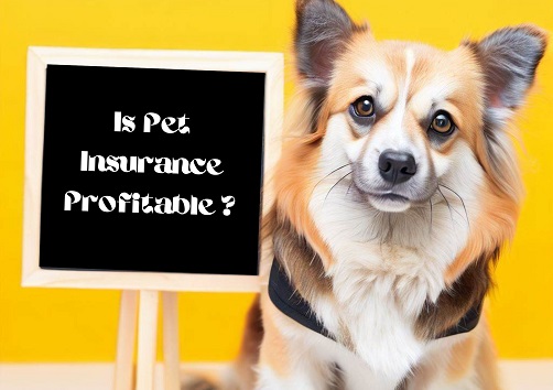 How To Sell Pet Insurance