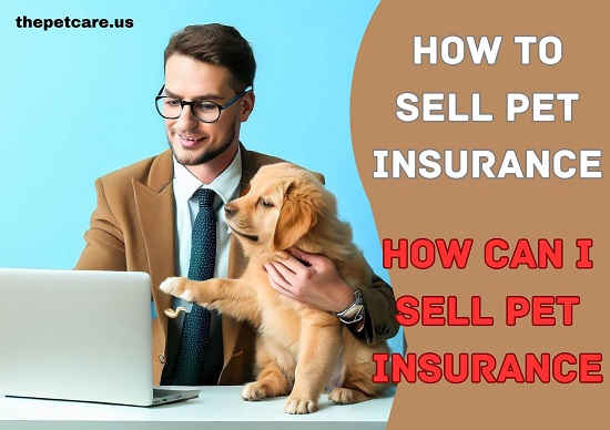 How To sell Pet Insurance