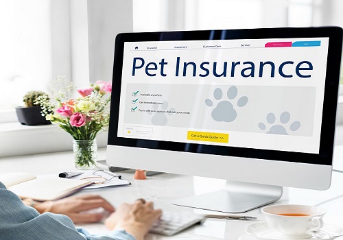 How to get pet insurance license